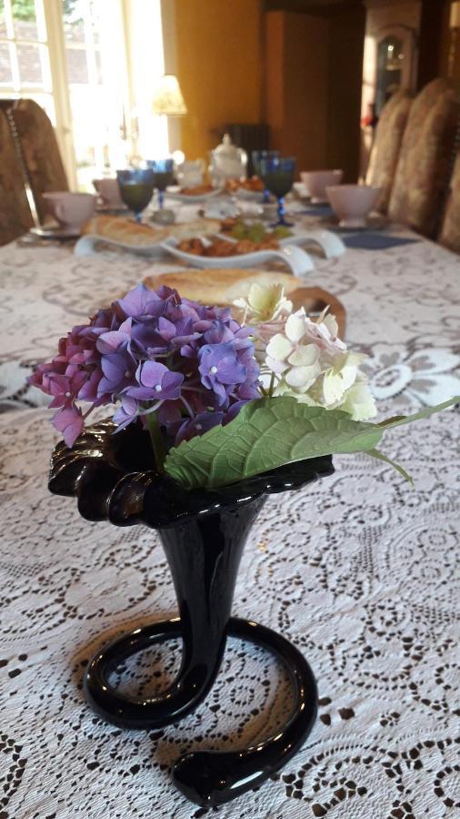 Les Terrasses Bed & Breakfast Degré Екстериор снимка